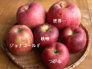 りんごの季節